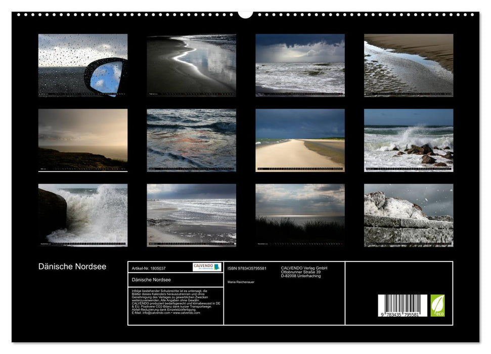 Dänische Nordsee (CALVENDO Premium Wandkalender 2025)