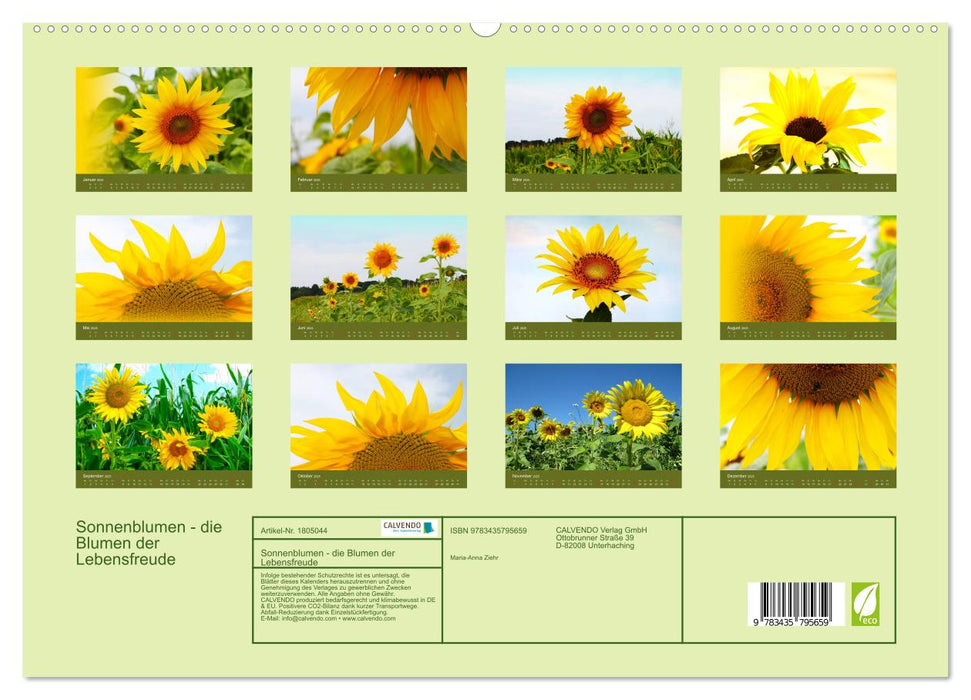 Sonnenblumen - die Blumen der Lebensfreude (CALVENDO Premium Wandkalender 2025)