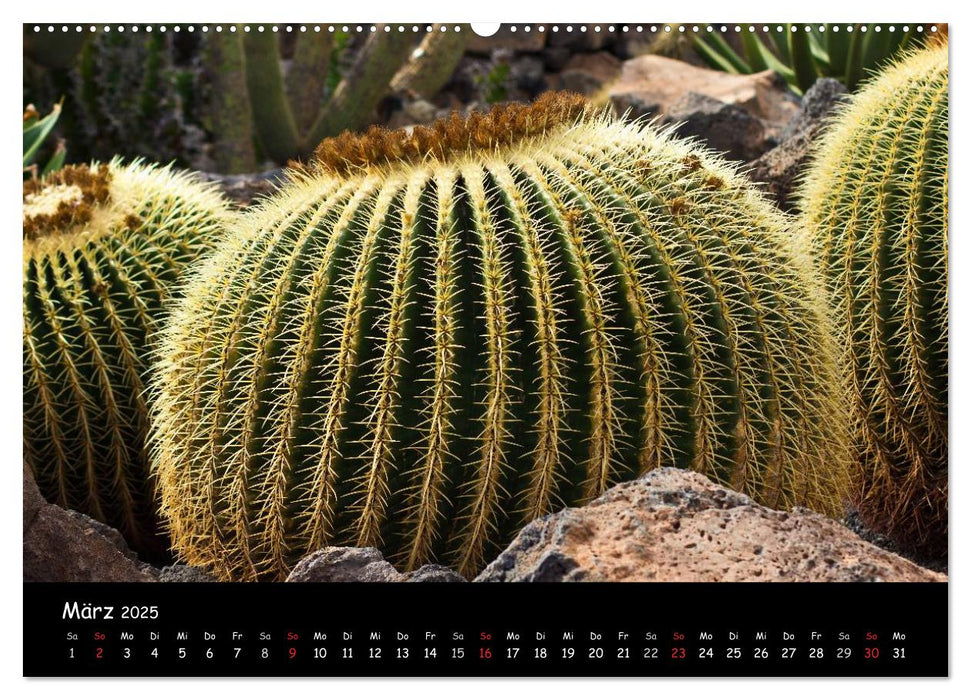 Lanzarote (CALVENDO Premium Wandkalender 2025)