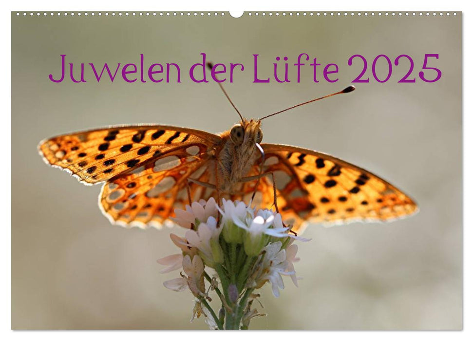 Juwelen der Lüfte 2025 (CALVENDO Wandkalender 2025)