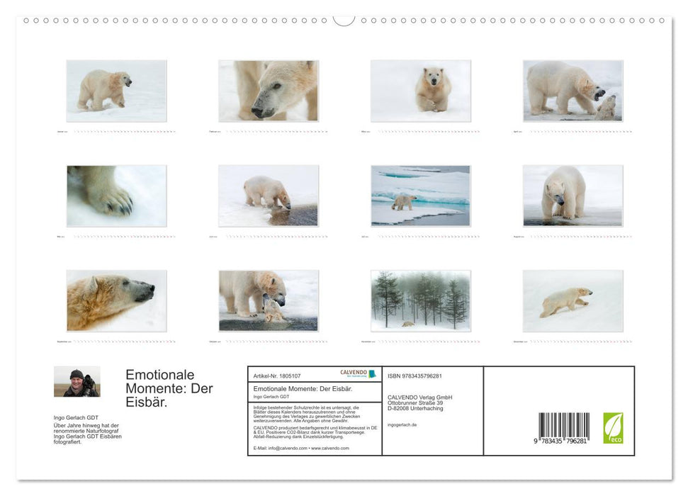 Emotionale Momente: Der Eisbär. (CALVENDO Premium Wandkalender 2025)