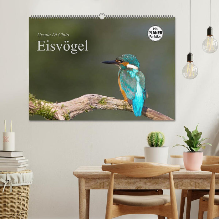 Eisvögel (CALVENDO Wandkalender 2025)