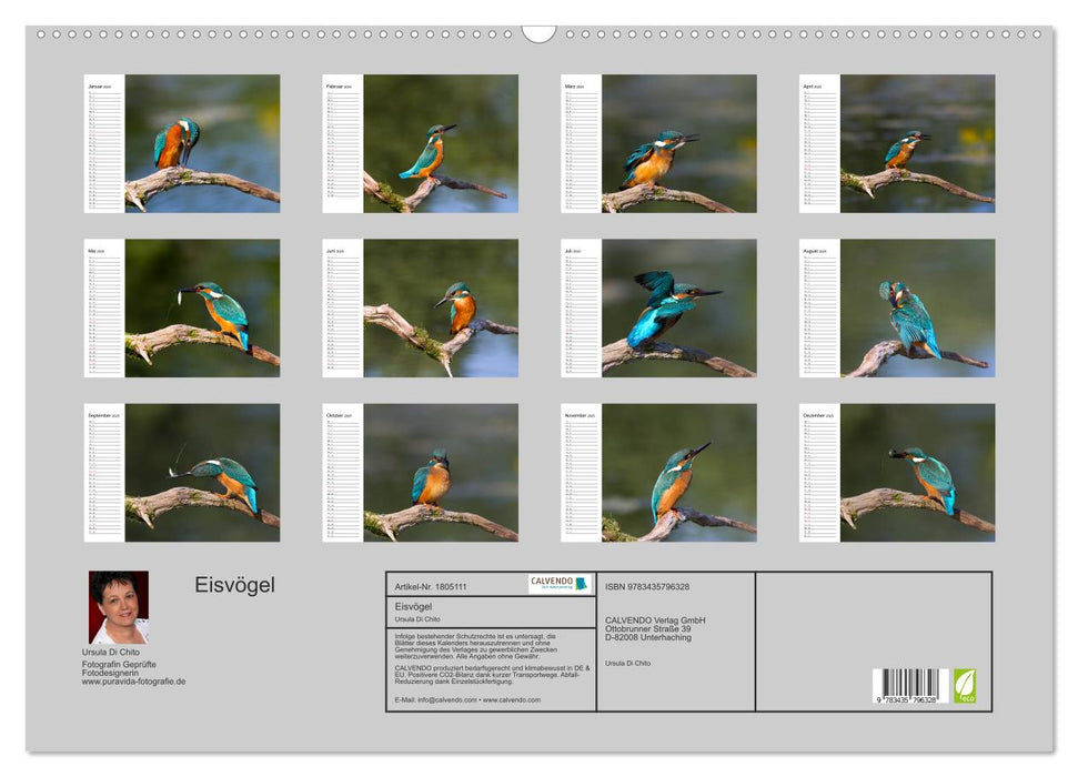 Eisvögel (CALVENDO Wandkalender 2025)