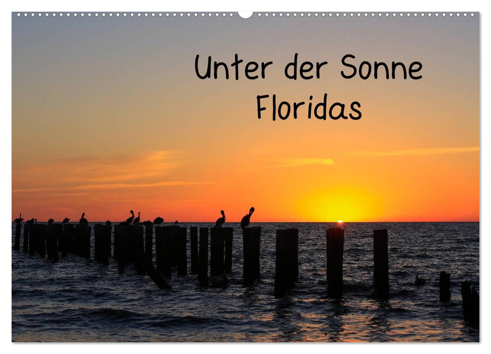 Unter der Sonne Floridas (CALVENDO Wandkalender 2025)