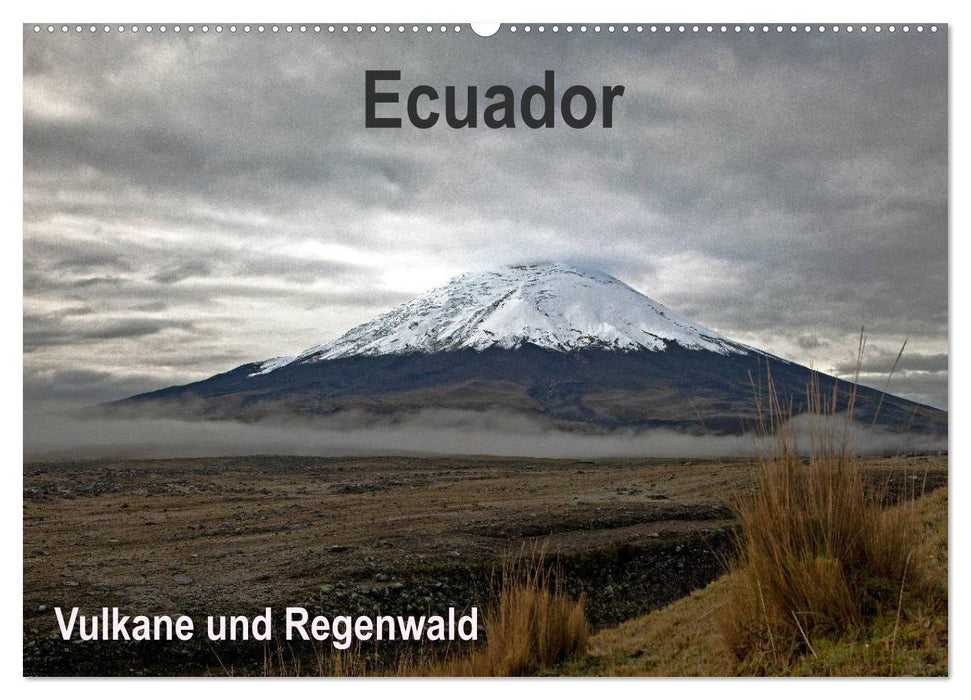 Ecuador - Regenwald und Vulkane (CALVENDO Wandkalender 2025)