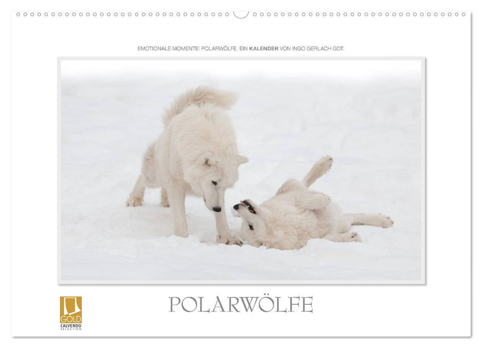 Emotionale Momente: Polarwölfe. (CALVENDO Wandkalender 2025)