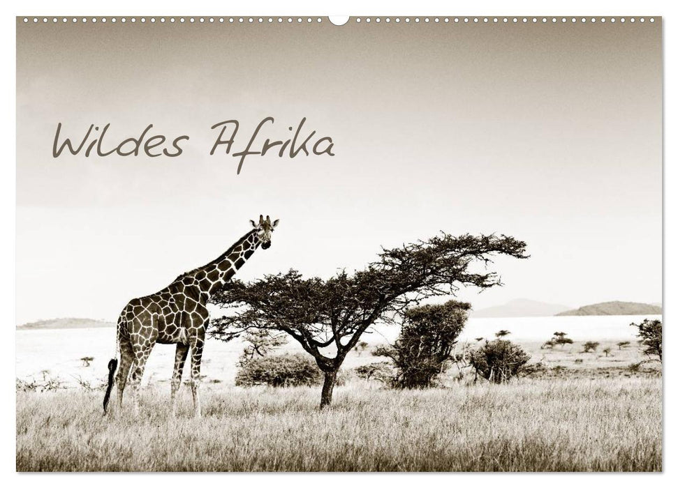 Wildes Afrika (CALVENDO Wandkalender 2025)