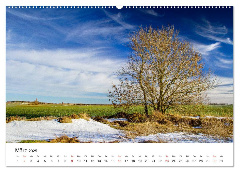 Rügen (CALVENDO Wandkalender 2025)