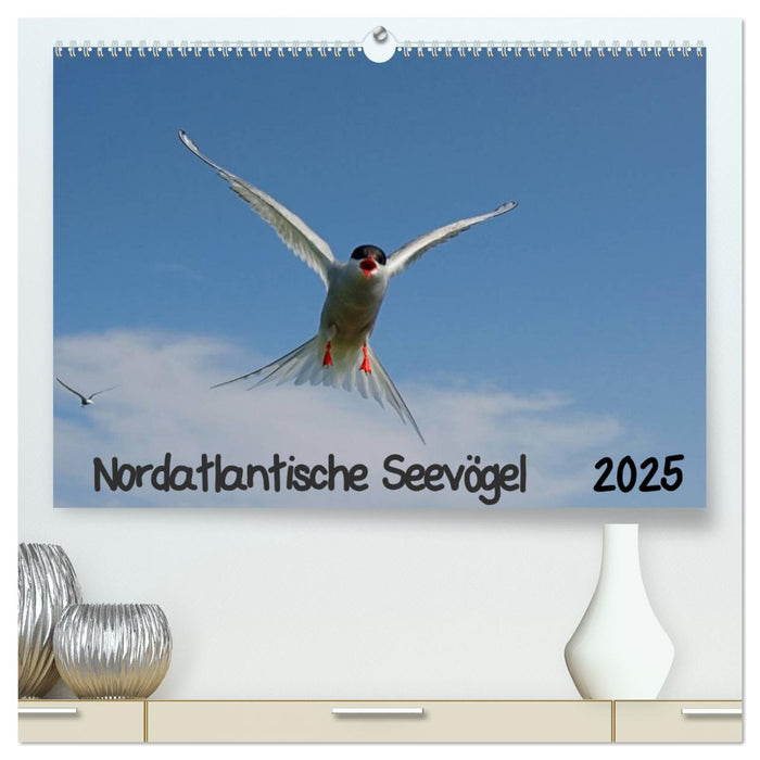 Nordatlantische Seevögel (CALVENDO Premium Wandkalender 2025)