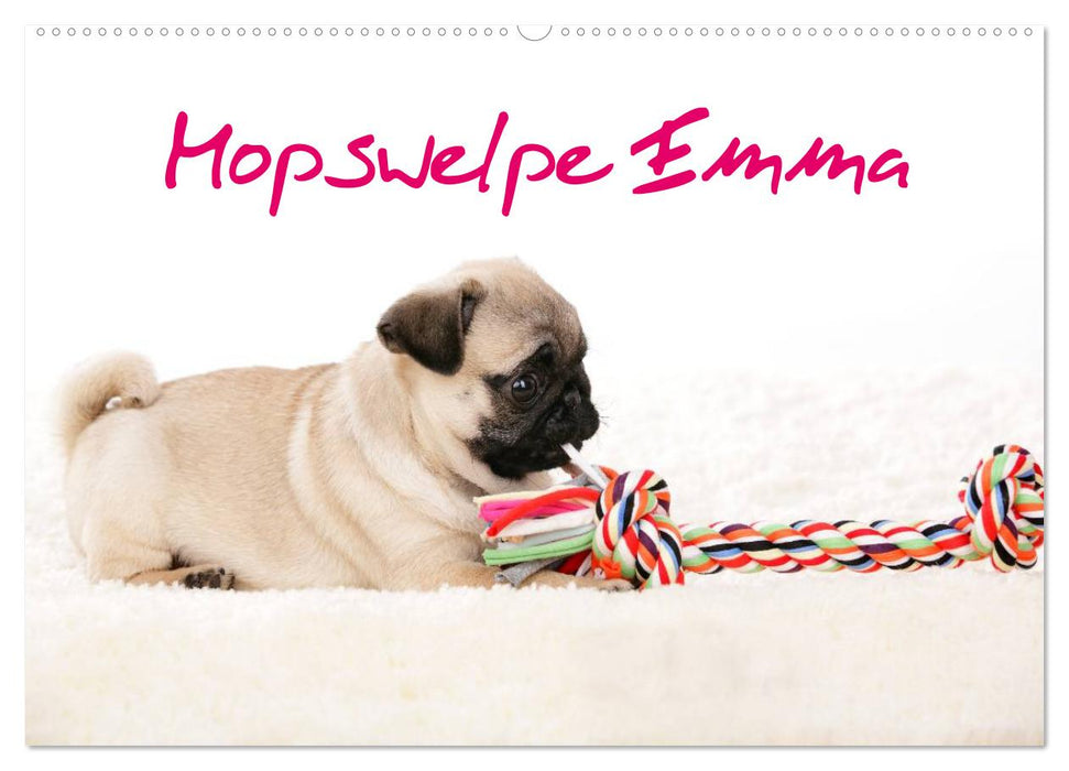 Mopswelpe Emma (CALVENDO Wandkalender 2025)