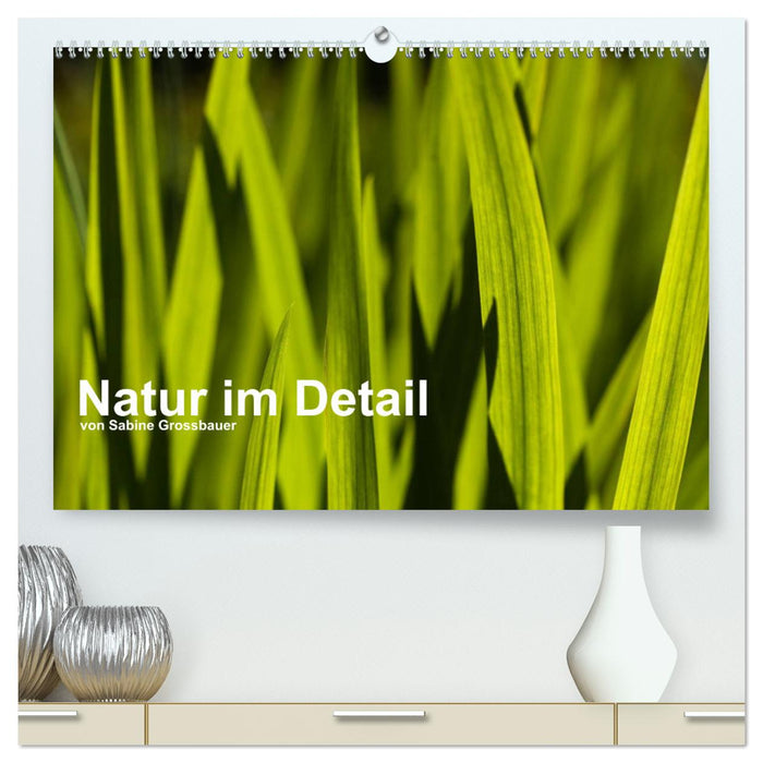 Natur im Detail (CALVENDO Premium Wandkalender 2025)