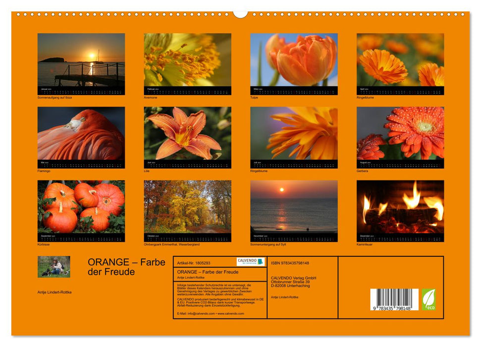 ORANGE – Farbe der Freude (CALVENDO Premium Wandkalender 2025)