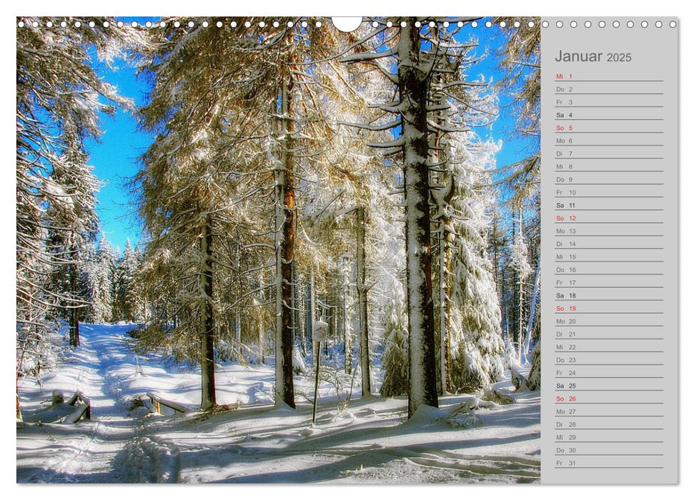 Zwischen Harz und Heide (CALVENDO Wandkalender 2025)