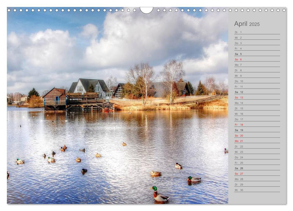 Zwischen Harz und Heide (CALVENDO Wandkalender 2025)