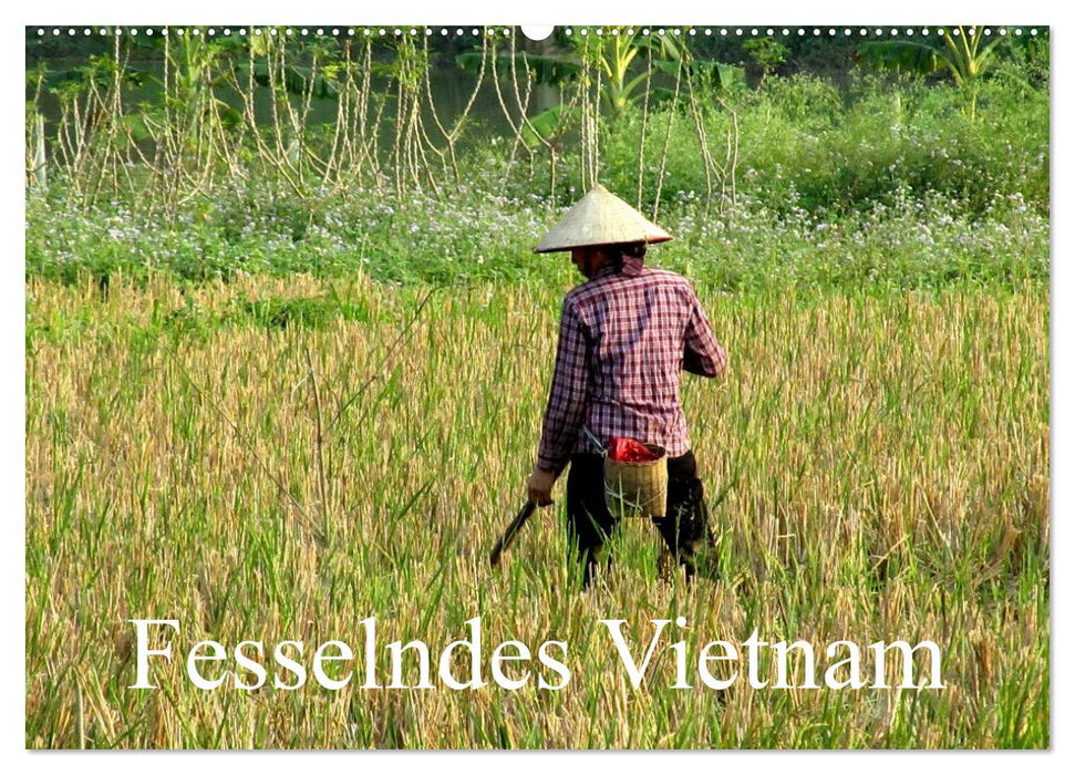 Fesselndes Vietnam (CALVENDO Wandkalender 2025)