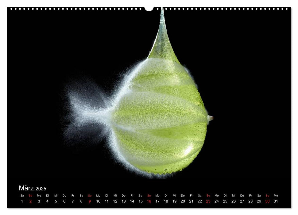 Ballistik Highspeed Fotos (CALVENDO Wandkalender 2025)