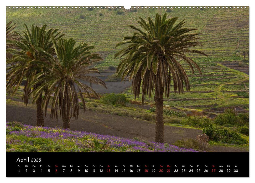 Lanzarote - Insel der Vulkane (CALVENDO Wandkalender 2025)