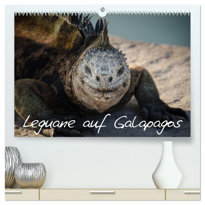 Leguane auf Galapagos (CALVENDO Premium Wandkalender 2025)