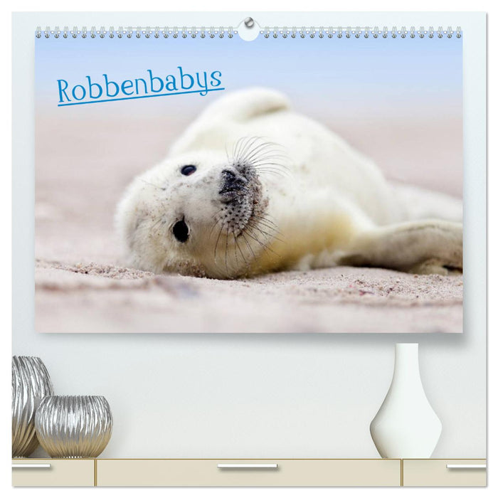 Robbenbabys (CALVENDO Premium Wandkalender 2025)