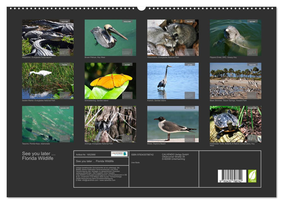 See you later ... Florida Wildlife (CALVENDO Premium Wandkalender 2025)