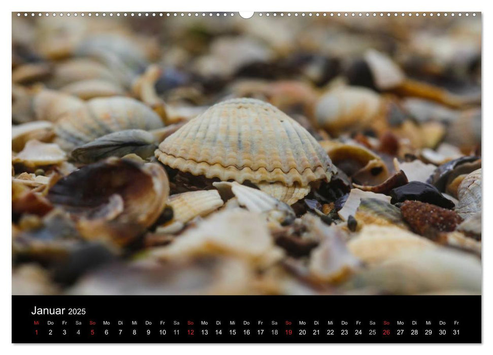 NORDSEE IMPRESSIONEN (CALVENDO Wandkalender 2025)