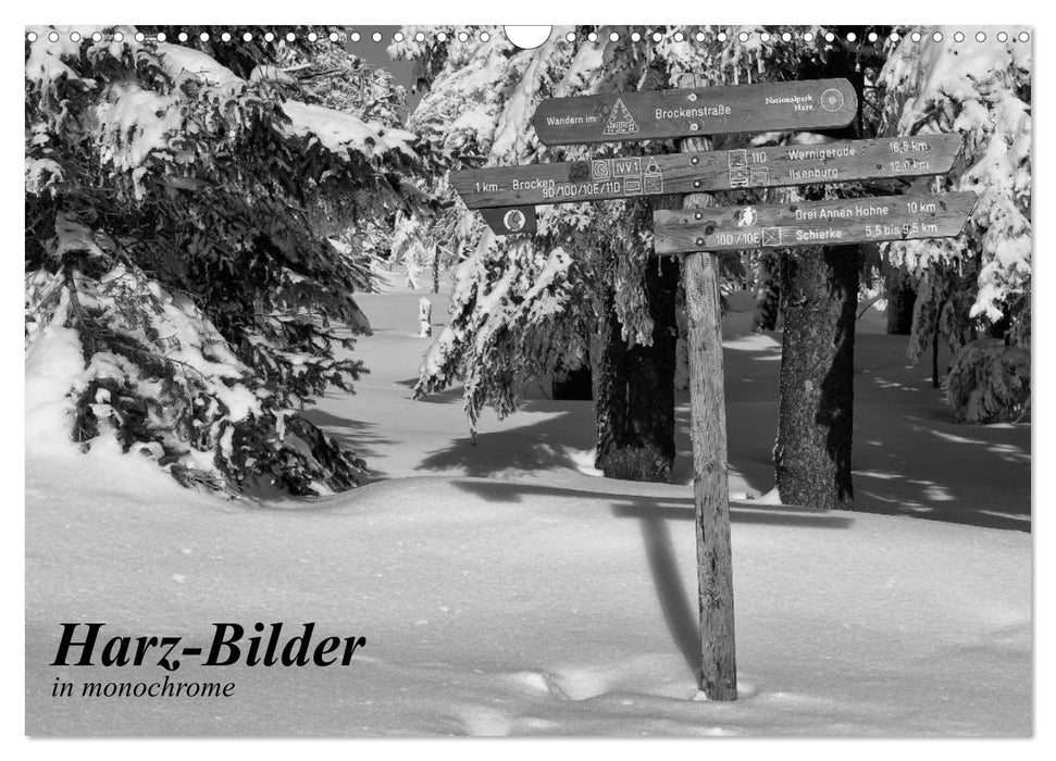 Harz-Bilder in monochrome (CALVENDO Wandkalender 2025)