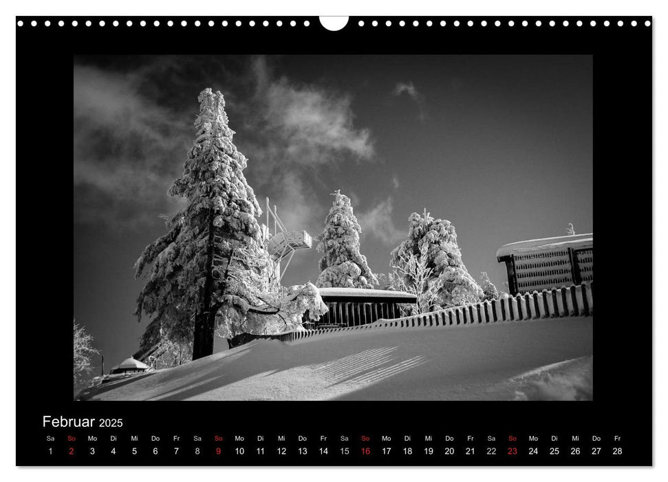 Harz-Bilder in monochrome (CALVENDO Wandkalender 2025)