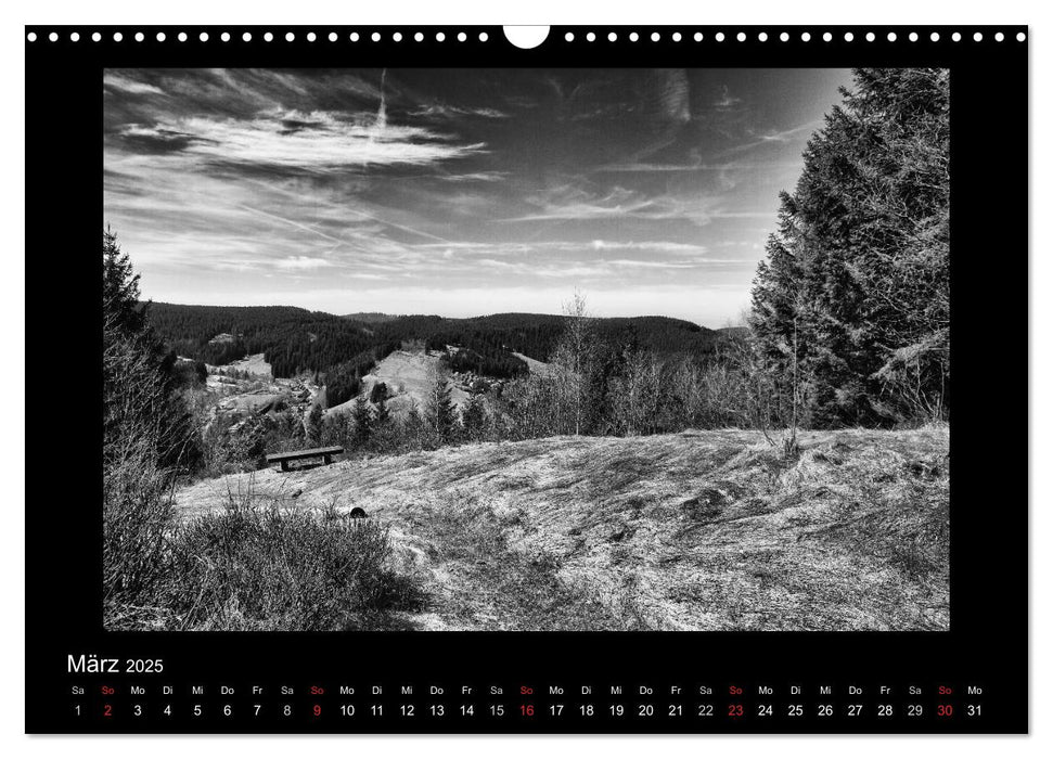 Harz-Bilder in monochrome (CALVENDO Wandkalender 2025)