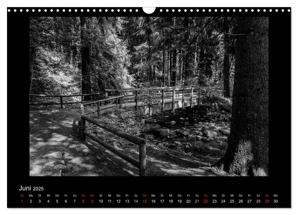 Harz-Bilder in monochrome (CALVENDO Wandkalender 2025)