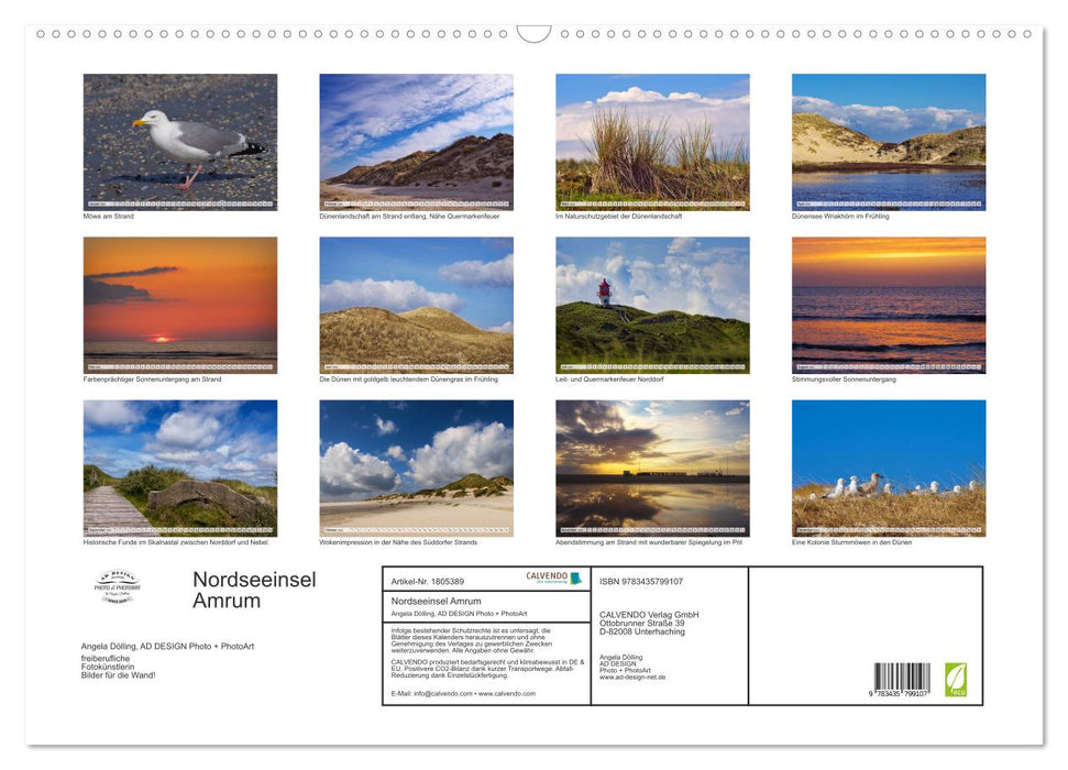 Nordseeinsel Amrum (CALVENDO Wandkalender 2025)