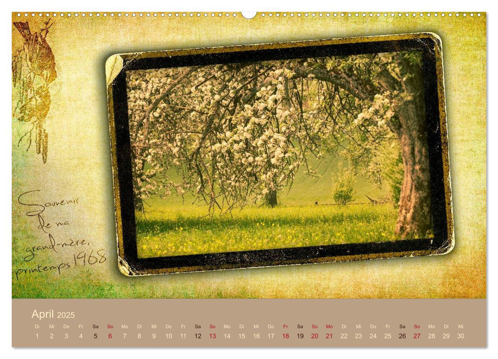 French Vintage Country (CALVENDO Premium Wandkalender 2025)