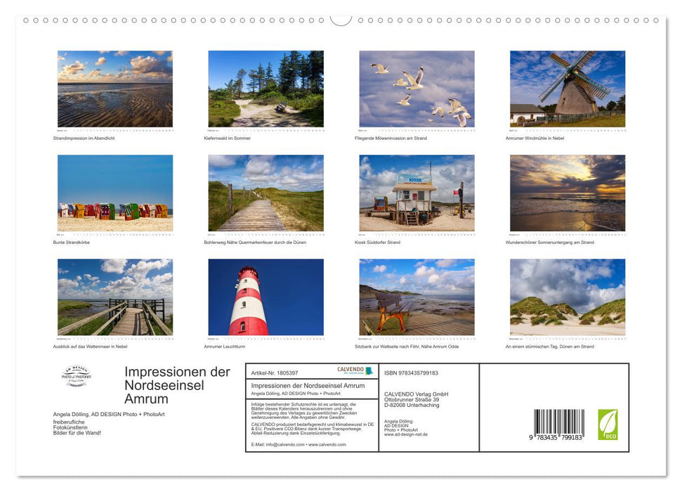 Impressionen der Nordseeinsel Amrum (CALVENDO Premium Wandkalender 2025)