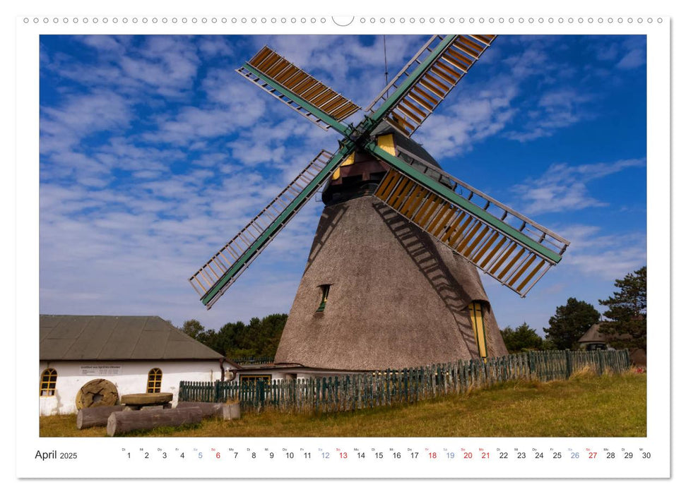 Impressionen der Nordseeinsel Amrum (CALVENDO Premium Wandkalender 2025)