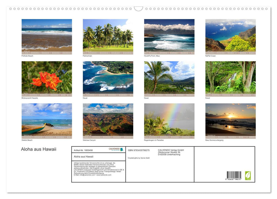 Aloha aus Hawaii (CALVENDO Wandkalender 2025)