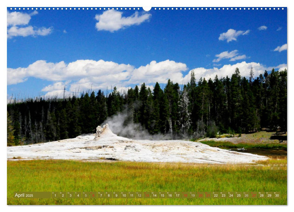 Der Yellowstone Nationalpark (CALVENDO Premium Wandkalender 2025)