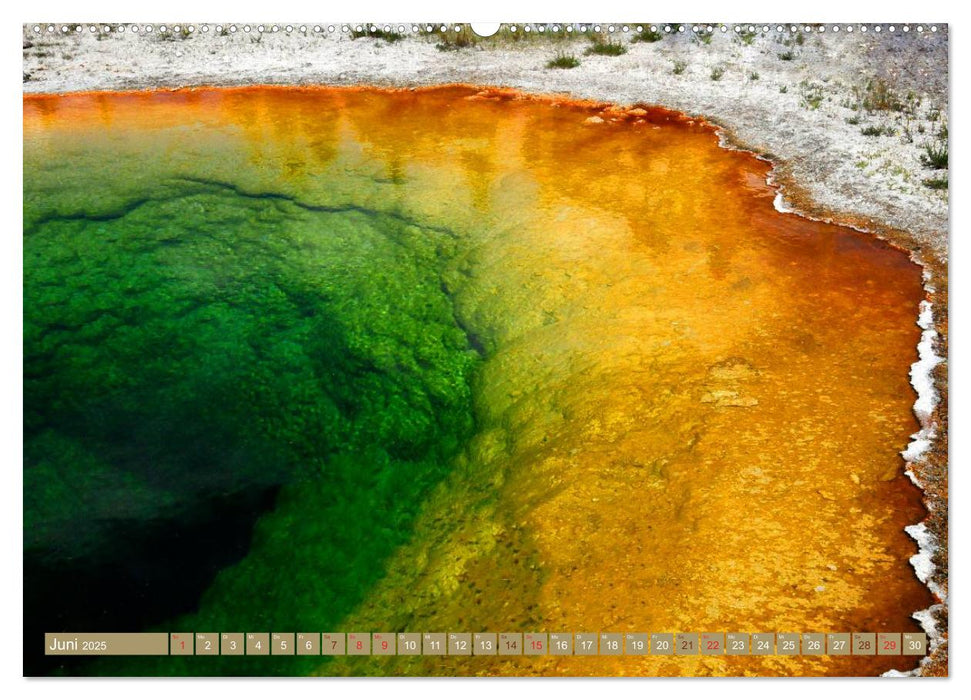 Der Yellowstone Nationalpark (CALVENDO Premium Wandkalender 2025)