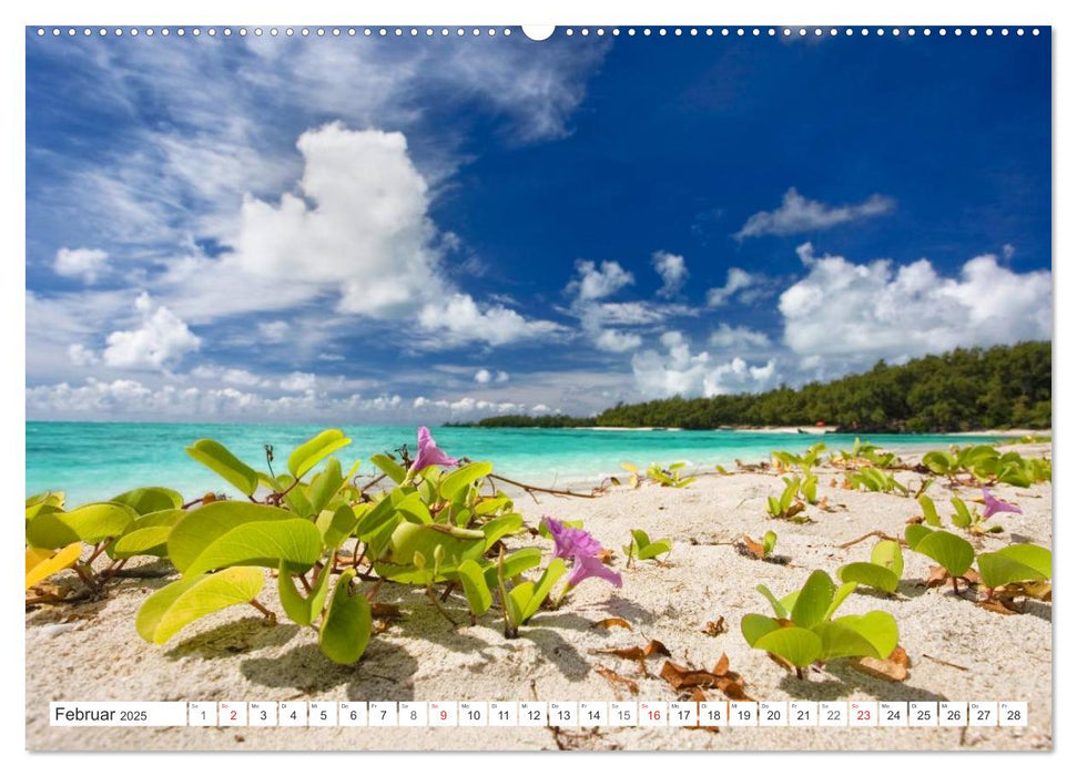 Mauritius (CALVENDO Premium Wandkalender 2025)