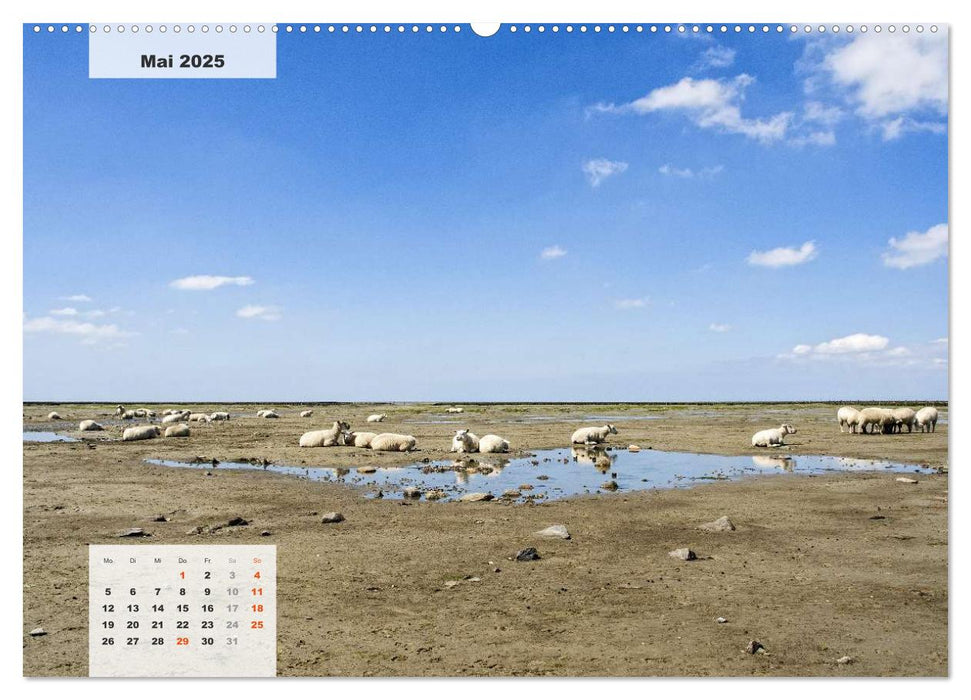 Nord-Ostsee Impressionen (CALVENDO Premium Wandkalender 2025)