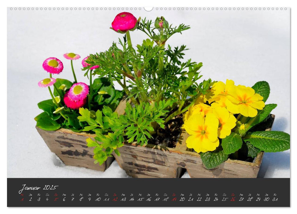 Romantische Gartenimpressionen (CALVENDO Premium Wandkalender 2025)