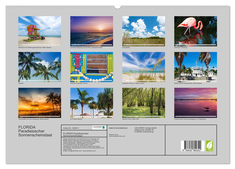 FLORIDA Paradiesischer Sonnenscheinstaat (CALVENDO Premium Wandkalender 2025)