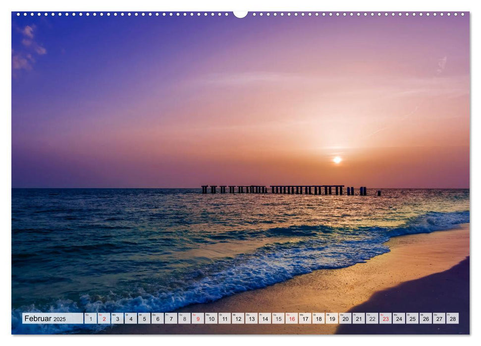 FLORIDA Paradiesischer Sonnenscheinstaat (CALVENDO Premium Wandkalender 2025)