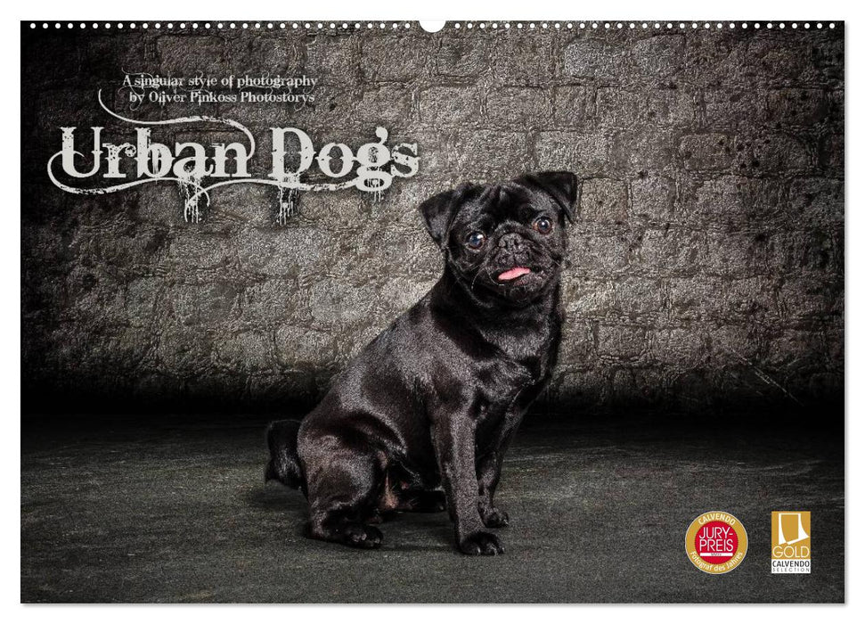 Urban Dogs - Hundekalender der anderen Art (CALVENDO Wandkalender 2025)