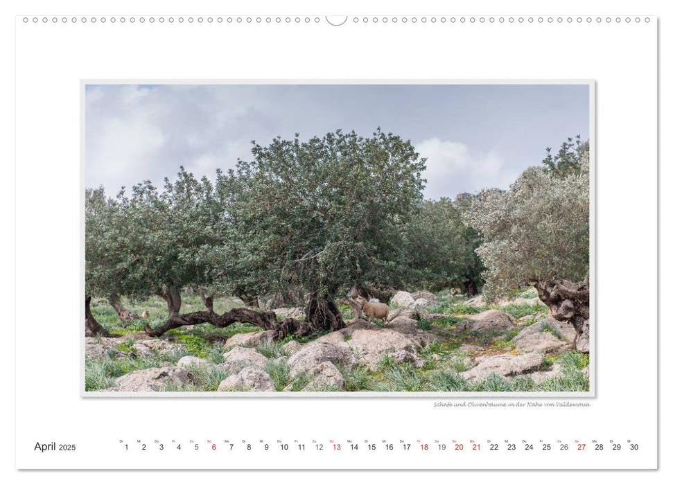 Emotionale Momente: Mallorca Best of (CALVENDO Premium Wandkalender 2025)