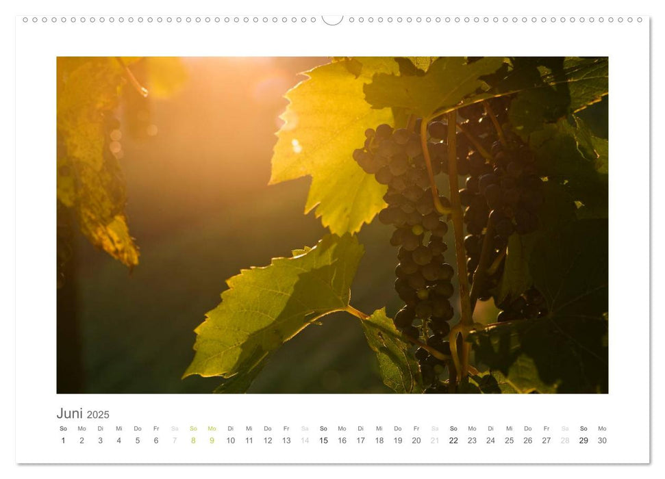 Impressionen aus der Steiermark (CALVENDO Premium Wandkalender 2025)