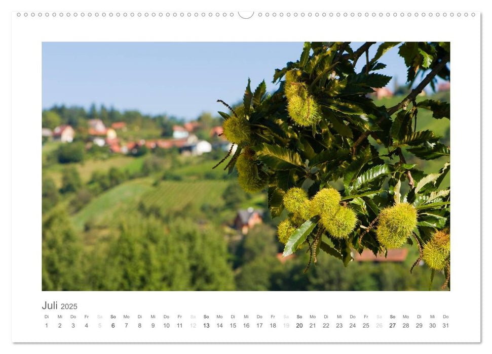 Impressionen aus der Steiermark (CALVENDO Premium Wandkalender 2025)