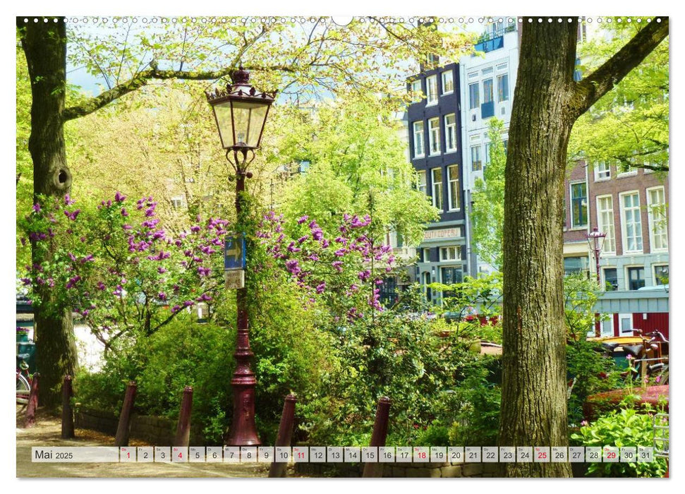 Amsterdam (CALVENDO Premium Wandkalender 2025)