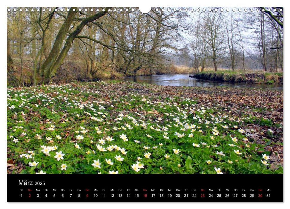 Lüneburg und die Lüneburger Heide (CALVENDO Wandkalender 2025)