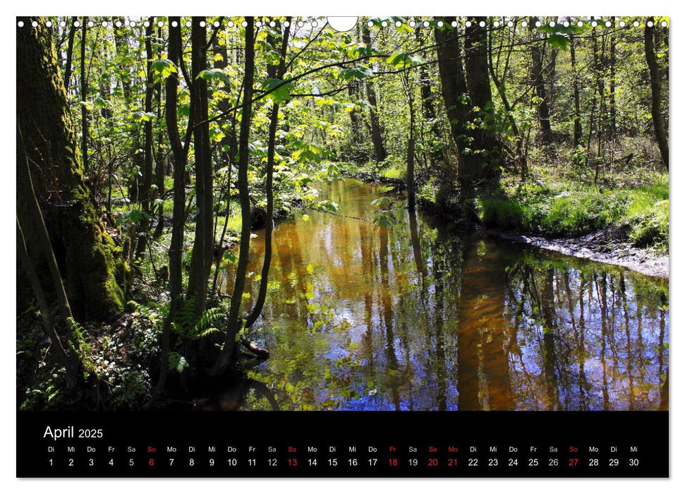 Lüneburg und die Lüneburger Heide (CALVENDO Wandkalender 2025)