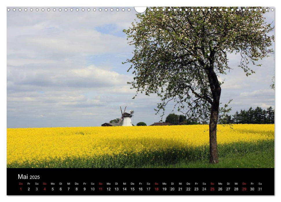 Lüneburg und die Lüneburger Heide (CALVENDO Wandkalender 2025)