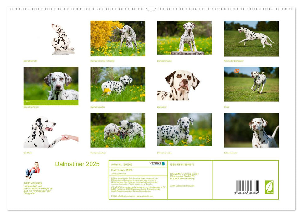 Dalmatiner 2025 (CALVENDO Premium Wandkalender 2025)